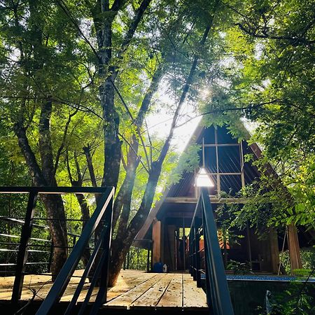 Habarana Tree House Mutu Village Exteriör bild