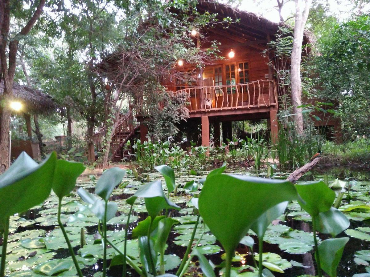 Habarana Tree House Mutu Village Exteriör bild