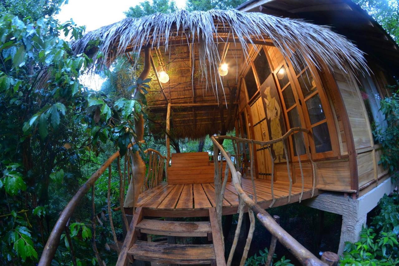 Habarana Tree House Mutu Village Exteriör bild