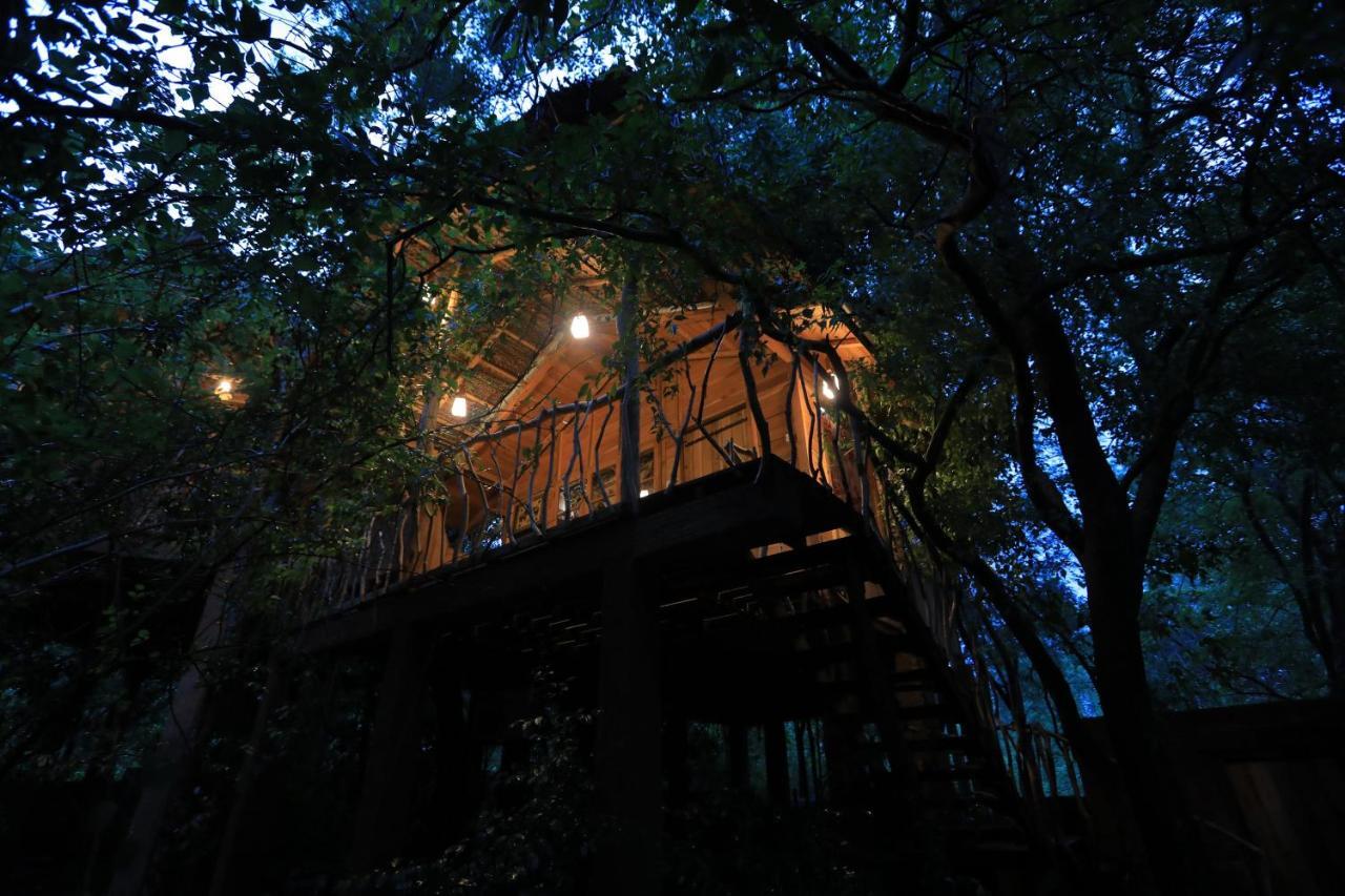 Habarana Tree House Mutu Village Exteriör bild