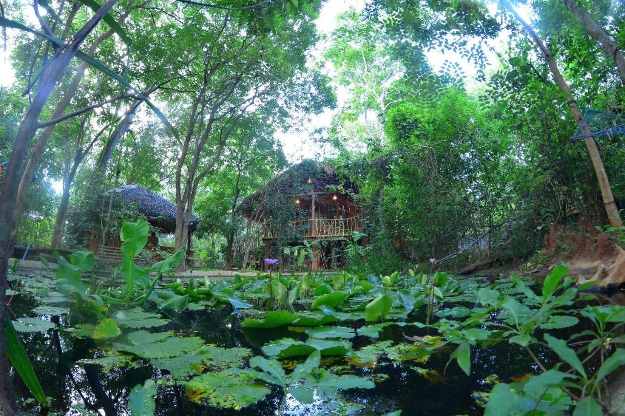 Habarana Tree House Mutu Village Exteriör bild